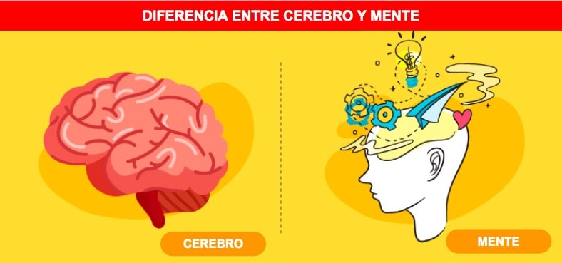 cerebro y mente diferencia